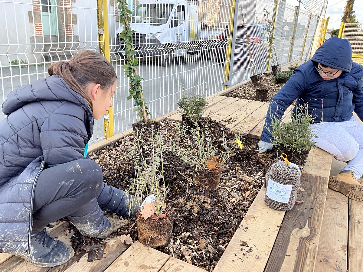 PLANTATION JARDINIERE
