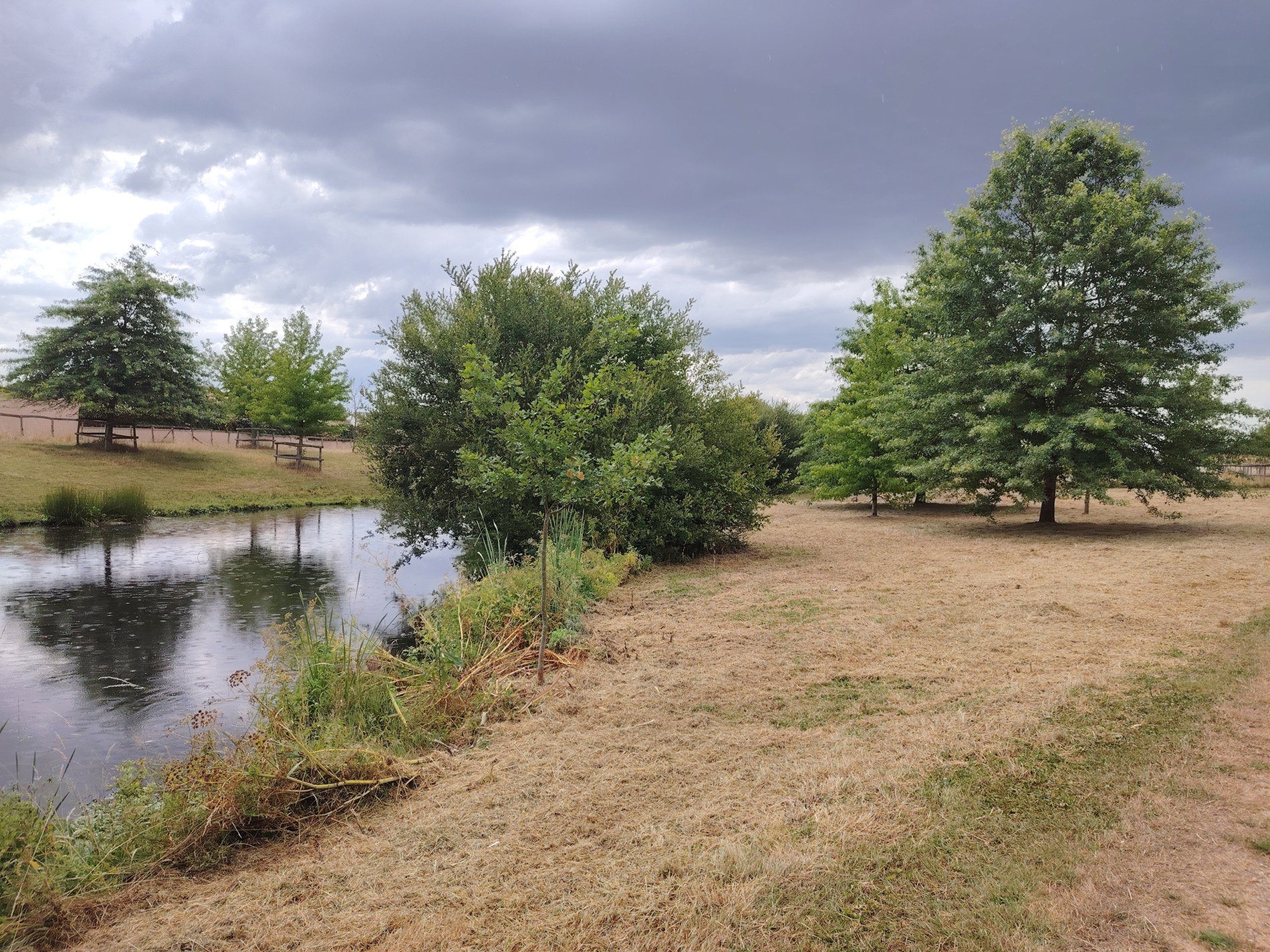 BASSIN