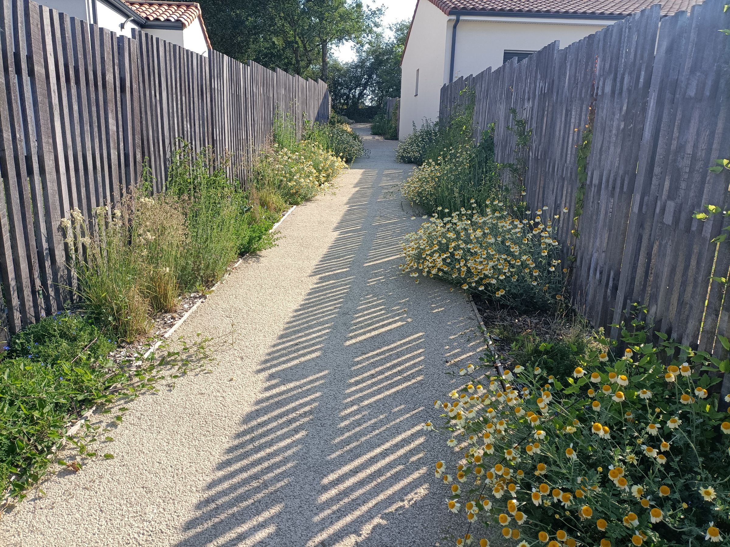 ALLÉES PLANTES CLÔTURES import